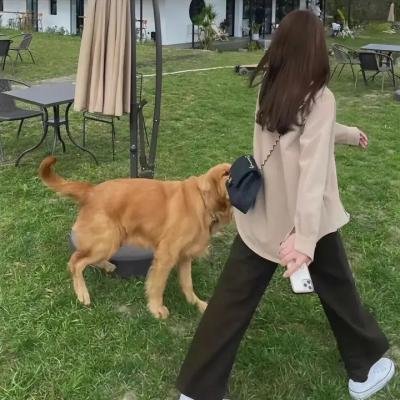 拜托了冰箱